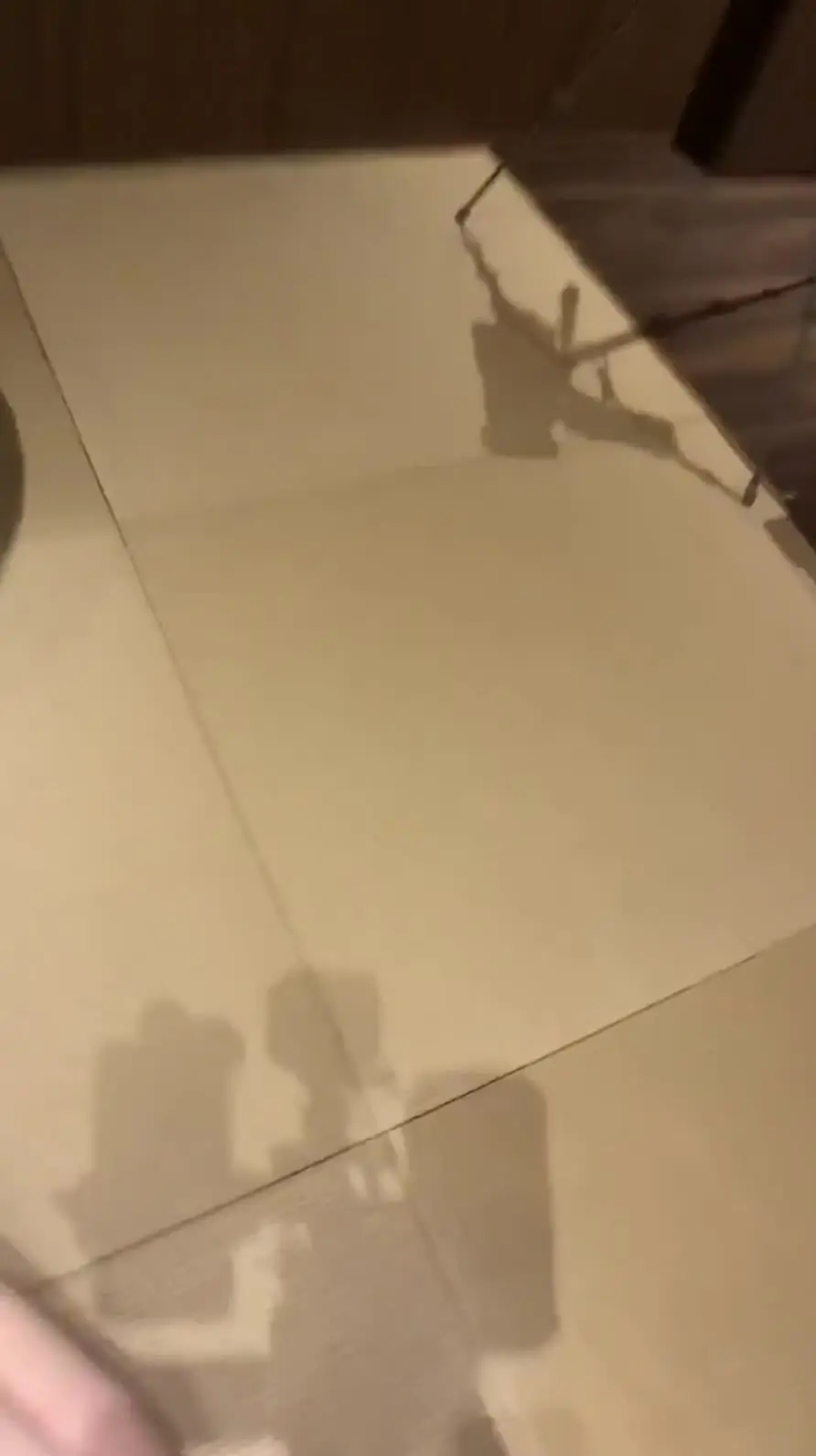 白 絲 av - 乖巧小姐姐口活吃鸡吧