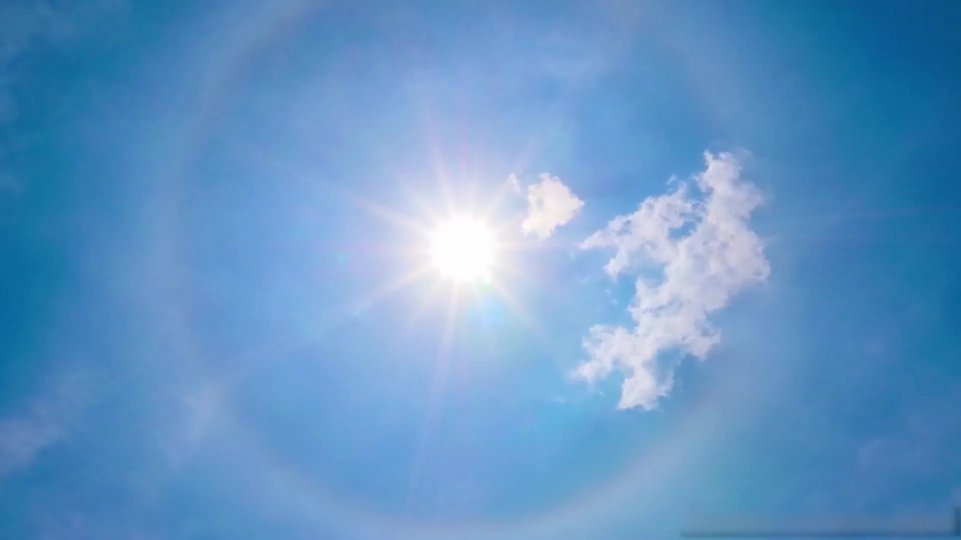 原创 桥本香菜 欲望人妻的性处理方式