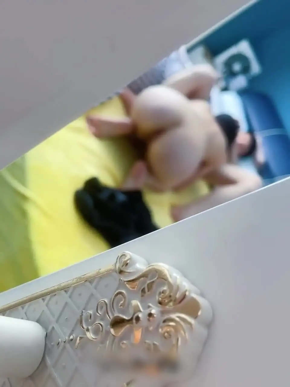 偷拍室友情侣的激情爱爱