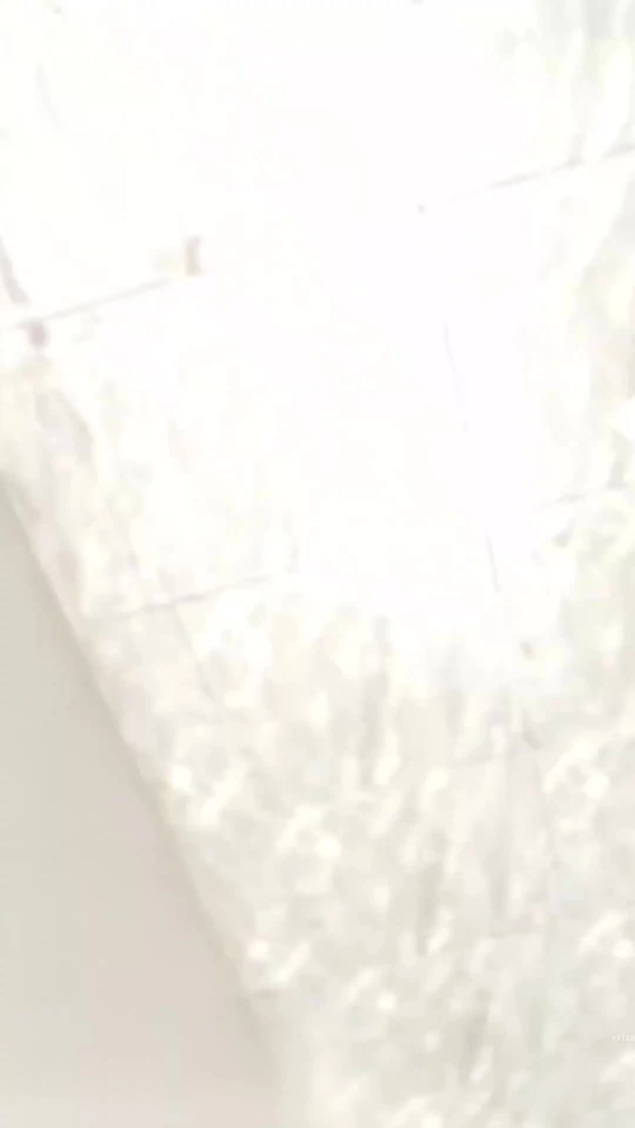 原档无声 厕所偷拍 吃饭不要看 别说我没警告你