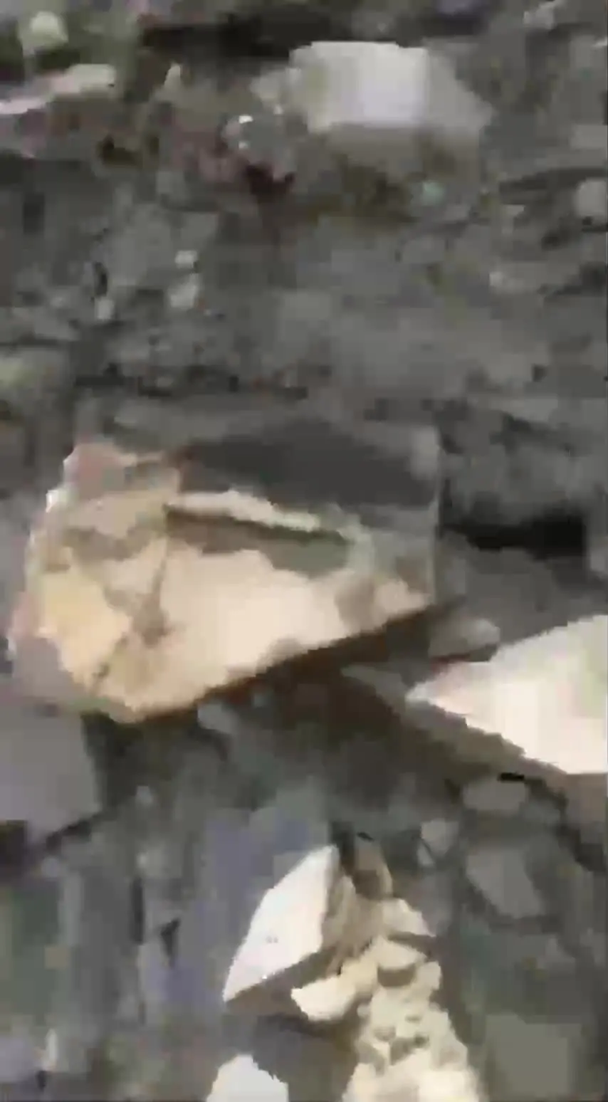 Girl gets pushed by her boyfriend in the jungle, definitely against her will, and you can see her crying at the end