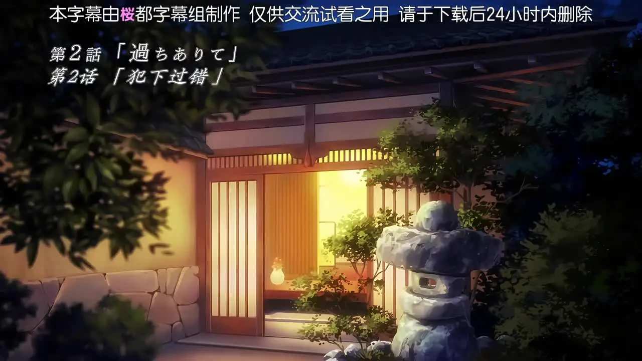 夫妇交欢 2 犯下过错