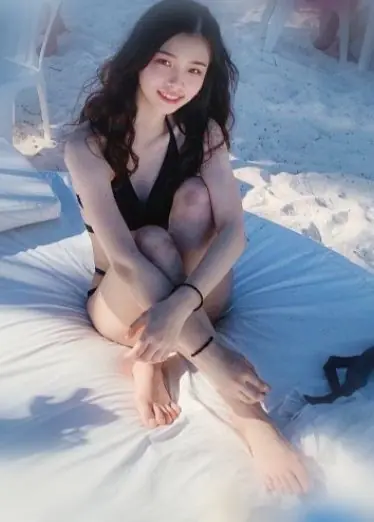 Perras contrastadas a las que les gusta viajar y los extranjeros