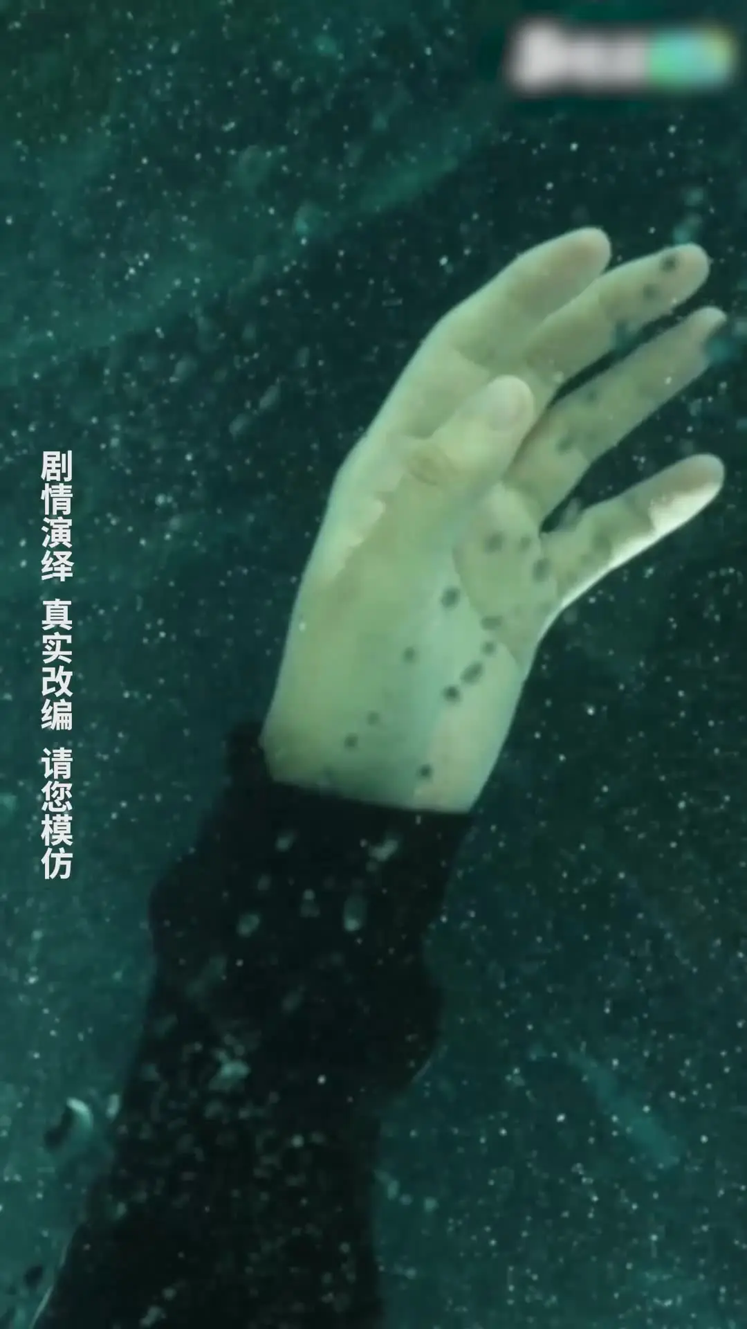 私はなめくじじゃない』再生のエピソード4。