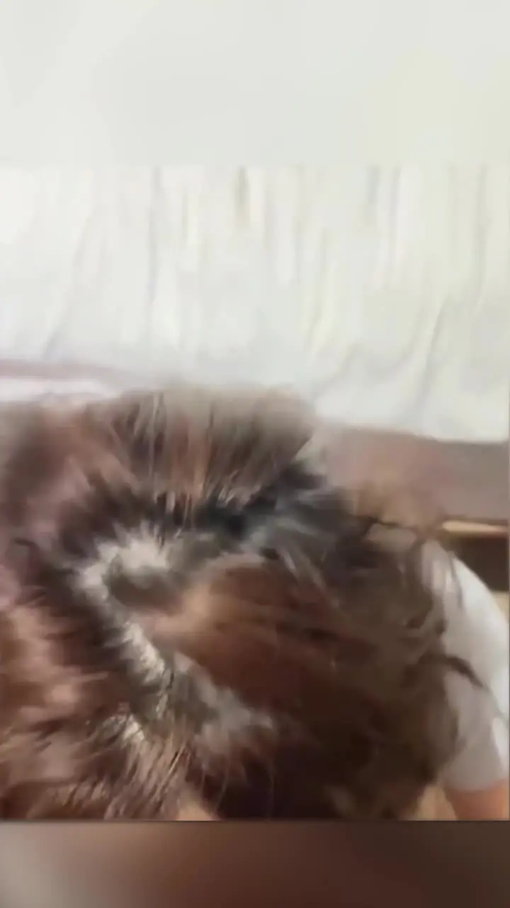 La studentessa di danza del Nanjing Arts Institute, Guo Tingting, si è leccata l'uccello per lo sconcerto di essere sculacciata e spinta più forte.