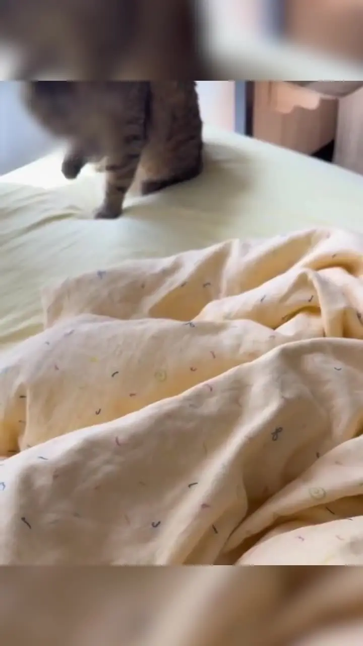 Vlog de venta de B inmersiva, tan difícil de adivinar sin ver la cara que el tío es sólo un gordo feo