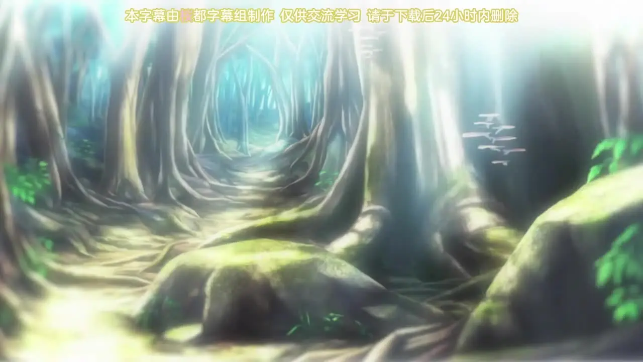 Benvenuti nella Foresta Elfica Errante 3