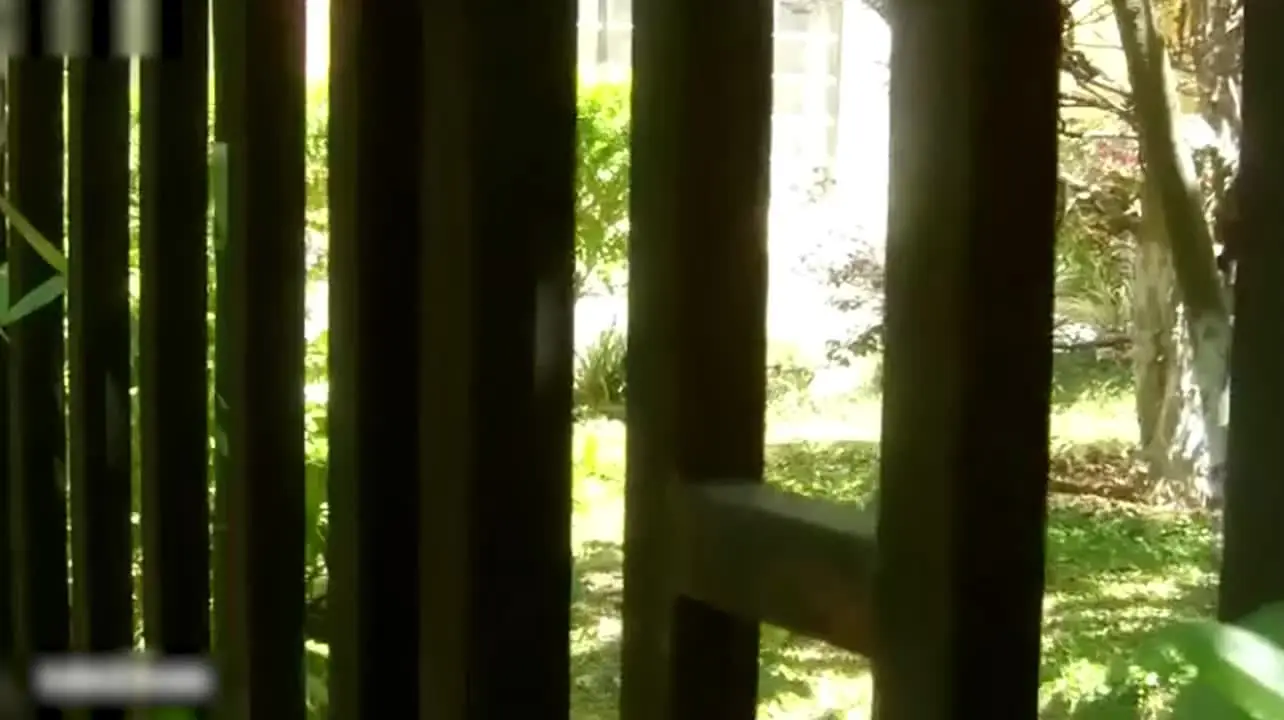 av国产自拍 - 跟踪尾随入室强奸失足女，粗暴地扯开她的衣襟